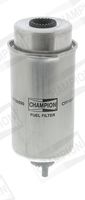 CHAMPION CFF100590 - Filtro combustible