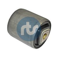 RTS 01700103 - Suspensión, Brazo oscilante