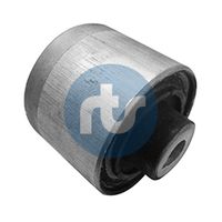 RTS 01700372 - Suspensión, Brazo oscilante