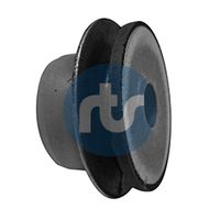 RTS 01700089 - Suspensión, Brazo oscilante