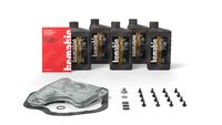 TCMATIC 1051010035 - Kit, cambio de aceite del cambio automático