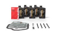 TCMATIC 1051010036 - Kit, cambio de aceite del cambio automático