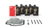 TCMATIC 1051010037 - Kit, cambio de aceite del cambio automático