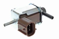 ACKOJA A37630004 - Tipo de servicio: eléctrico<br>Número de enchufes de contacto: 2<br>Color de conector: marrón<br>Peso [kg]: 0,076<br>