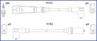 FAE 83979 - Juego de cables de encendido