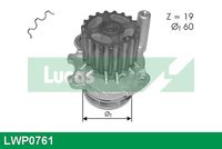 KAMOKA T0025 - N.º de chasis (VIN) desde: 6H-3-000 002<br>Número de dientes: 19<br>Modelo bomba agua: para accionamiento con correa trapecial<br>para OE N°: 045 121 011 F<br>