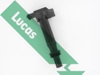 LUCAS DMB5007 - Garantía: 5 años de garantía<br>