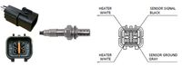 LUCAS LEB5115 - Sonda Lambda