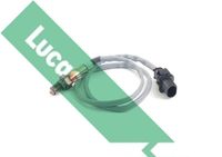 LUCAS LEB5300 - Sonda Lambda