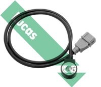 LUCAS SEB1264 - Peso [kg]: 0,1<br>Longitud de cable [mm]: 570<br>Número de enchufes de contacto: 3<br>Artículo complementario / información complementaria 2: con cable<br>