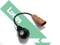 LUCAS SEB1450 - N.º de chasis (VIN) hasta: 1J-X-999 999<br>Peso [kg]: 0,08<br>Longitud de cable [mm]: 200<br>Número de enchufes de contacto: 3<br>Artículo complementario / información complementaria 2: con cable<br>Color de carcasa: marrón<br>Forma del enchufe: Angular<br>peso neto [kg]: 0,062<br>