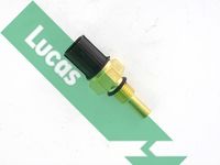 LUCAS SNB1006 - Código de motor: D14Z6<br>Longitud [mm]: 56<br>Ancho de llave: 17<br>Número de conexiones: 2<br>Artículo complementario/Información complementaria: con junta<br>Peso [kg]: 0,02<br>