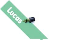 LUCAS SNB5115 - Sensor, temperatura combustible