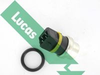 LUCAS SNB855 - Número de enchufes de contacto: 4<br>Diámetro de montaje [mm]: 20<br>Color de conector: negro<br>