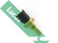 LUCAS SNB851 - Lado de montaje: Termostato<br>para OE N°: 55591401<br>Peso [kg]: 0,018<br>Medida de rosca: N/A<br>Ancho de llave: N/A<br>Número de enchufes de contacto: 2<br>Color de carcasa: negro<br>Forma del enchufe: oval<br>peso neto [kg]: 0,012<br>