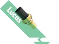 LUCAS SNB969 - Sensor, temperatura del aceite