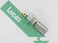 LUCAS SOB811 - Interruptor de control de la presión de aceite