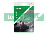 LUCAS LLB709P - año modelo desde: 2008<br>Tensión [V]: 12<br>Potencia nominal [W]: 65<br>Tipo de lámpara: H9<br>Tipo de luces: Halógena<br>Cantidad: 1<br>Versión: Single Box<br>Versión: Standard<br>Modelo de zócalo, bombilla incandescente: PGJ19-5<br>