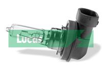 LUCAS LLX9005XLPX2 - Tipo de luces: Faro de proyección<br>Tensión [V]: 12<br>Potencia nominal [W]: 60<br>Tipo de lámpara: HB3<br>Cantidad: 2<br>Versión: Twin Clam<br>Especificación: Blue Lightning<br>Especificación: Upgrade<br>Modelo de zócalo, bombilla incandescente: P20d<br>