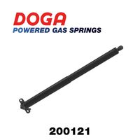 DOGA 200121 - 