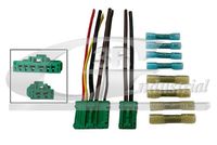 3RG 30206 - Kit repara. cables, motor de ventilador interior