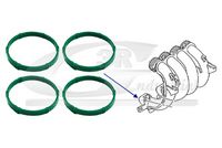 3RG 66700 - Junta, colector de admisión
