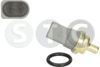 RECOFICIAL CST9527 - Marca color: gris<br>Número de fabricación: ECT-VW-000<br>