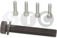 STC T402258 - Tornillo de polea