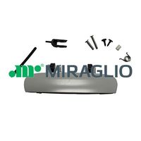 MIRAGLIO 80750 - Número de puertas: 4<br>Superficie: imprimado<br>Lado de montaje: Atrás derecha<br>Lado de montaje: Delante, derecha<br>