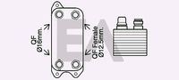 EACLIMA 37G50032 - Radiador de aceite, aceite motor