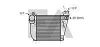 EACLIMA 36A02049 - Radiador de aire de admisión