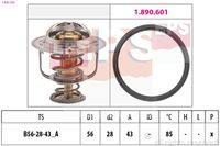 MDR EPS1880398 - Código de motor: 4G93 (GDI)<br>año construcción hasta: 07/1998<br>Temperatura de abertura [°C]: 82<br>Altura [mm]: 43<br>Peso [kg]: 0,11<br>Diámetro 1 [mm]: 56<br>Diámetro 2 [mm]: 29<br>Calefacción / Refrigeración: con taladro de salida de aire<br>long. de embalaje [cm]: 7,70<br>Ancho de embalaje [cm]: 9,70<br>h embalaje [cm]: 7,40<br>número de artículo incluido: 1.890.601<br>