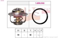 MDR EPS1880800 - Temperatura de abertura [°C]: 82<br>Artículo complementario/Información complementaria: con junta<br>Diámetro 2 [mm]: 58<br>Altura 1 [mm]: 16<br>Altura 2 [mm]: 31,7<br>Ancho de embalaje [cm]: 6,70<br>long. de embalaje [cm]: 8,7<br>h embalaje [cm]: 9,20<br>Peso neto [g]: 95<br>