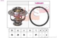 MDR EPS1880828 - Código de motor: 4B12<br>año construcción hasta: 06/2010<br>Tipo de cárter/carcasa: para carcasa (cárter) separada<br>año construcción desde: 07/2010<br>Modelo por país: Rusia<br>Tipo de cárter/carcasa: para carcasa (cárter) separada<br>Temperatura de abertura [°C]: 82<br>Altura [mm]: 36<br>Peso [kg]: 0,11<br>Diámetro 1 [mm]: 56<br>Diámetro 2 [mm]: 28<br>Calefacción / Refrigeración: con taladro de salida de aire<br>Artículo complementario/Información complementaria: con junta<br>long. de embalaje [cm]: 7,70<br>Ancho de embalaje [cm]: 9,70<br>h embalaje [cm]: 7,40<br>número de artículo incluido: 1.880.222S<br>número de artículo incluido: 1.890.601<br>