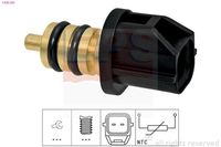 MDR EPS1830383 - Sensor, temperatura combustible