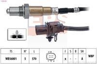 FAE 75077 - Sonda Lambda