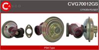 Alfa e-Parts AF07812 - Válvula EGR