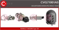 Alfa e-Parts AF07667 - Válvula EGR