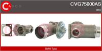 Alfa e-Parts AF07813 - Válvula EGR