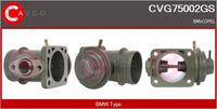 Alfa e-Parts AF07816 - Válvula EGR