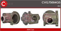 Alfa e-Parts AF07756 - Válvula EGR