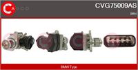 Alfa e-Parts AF07813 - Válvula EGR