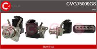 Alfa e-Parts AF07813 - Válvula EGR