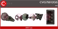 Alfa e-Parts AF07775 - Válvula EGR