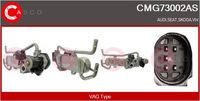 Alfa e-Parts AF07741 - Válvula EGR