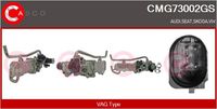 Alfa e-Parts AF07741 - Válvula EGR