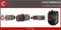 Alfa e-Parts AF07669 - Válvula EGR