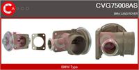 Alfa e-Parts AF07784 - Válvula EGR