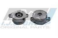 FAI AutoParts T1005 - Brazo tensor, correa poli V