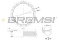 BREMSI FA0126 - Filtro de aire